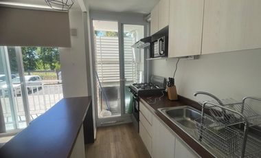 Arriendo Dpto. Pucón Año Corrido