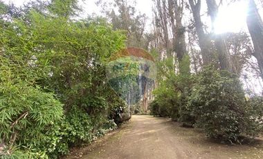 Casa y galpón en arriendo Pirque