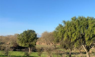 Parcela en Venta en San Rafael