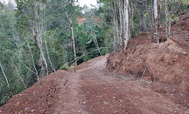 Parcela de agrado Santo Domingo Valdivia