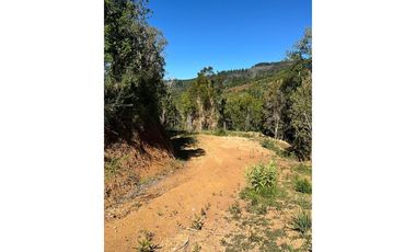 Parcela de agrado Santo Domingo Valdivia