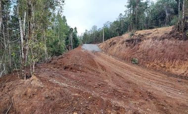 Parcela de agrado Santo Domingo Valdivia