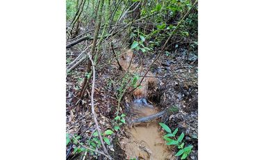 Parcela de agrado Santo Domingo Valdivia