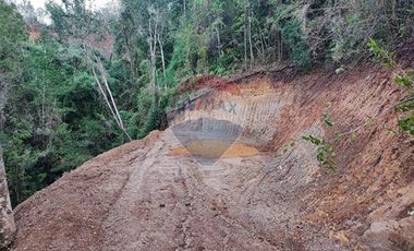 Parcela de agrado Santo Domingo Valdivia