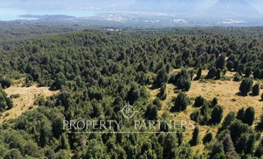 Campo de 280 hectáreas, con vistas al Lago y Volcán Villarrica