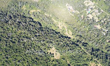 Campo de 280 hectáreas, con vistas al Lago y Volcán Villarrica