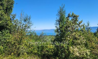Campo de 280 hectáreas, con vistas al Lago y Volcán Villarrica