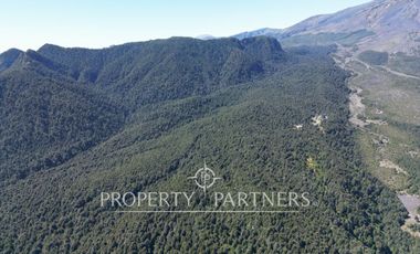 Campo de 280 hectáreas, con vistas al Lago y Volcán Villarrica