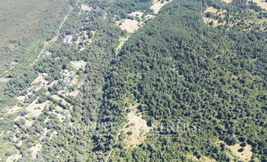 Campo de 280 hectáreas, con vistas al Lago y Volcán Villarrica