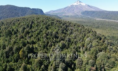Campo de 280 hectáreas, con vistas al Lago y Volcán Villarrica