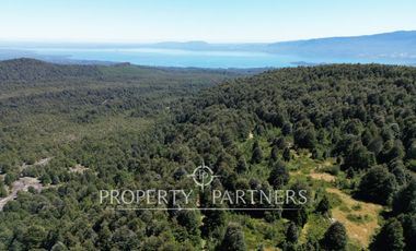 Campo de 280 hectáreas, con vistas al Lago y Volcán Villarrica