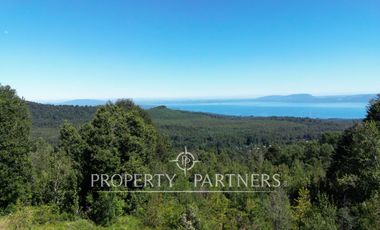 Campo de 280 hectáreas, con vistas al Lago y Volcán Villarrica