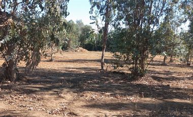 Parcela en Venta en Loteo La Esperanza, altura del km2 ruta k-605