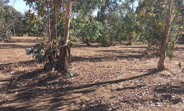 Parcela en Venta en Loteo La Esperanza, altura del km2 ruta k-605