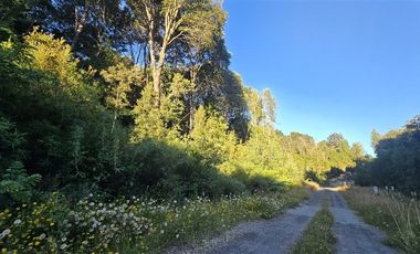 Parcela en Venta en Colonia Tres Puentes
