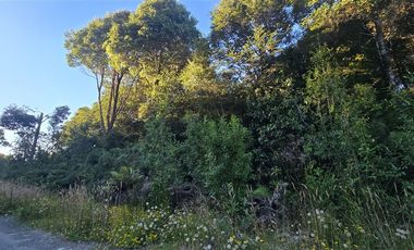 Parcela en Venta en Colonia Tres Puentes