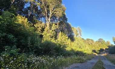 Parcela en Venta en Colonia Tres Puentes