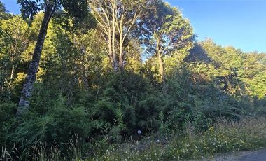 Parcela en Venta en Colonia Tres Puentes
