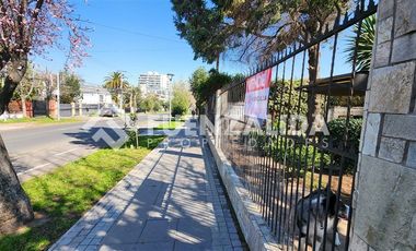 Oficina en Arriendo en Echeñique, Av. Ossa