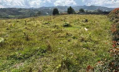 LOTE EN VENTA UBICADO EN SAN VICENTE SECTOR LAS OVEJAS