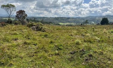 LOTE EN VENTA UBICADO EN SAN VICENTE SECTOR LAS OVEJAS