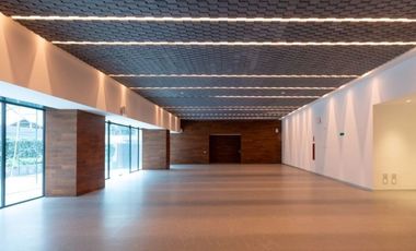 Renta Departamento en Cuadrante Neuchatel Polanco