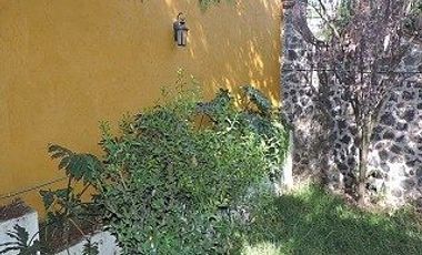 Propiedad en Venta, Pedregal de San Nicolás, Tlalpan