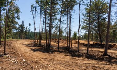 Oportunidad Venta Terrenos en Condominio