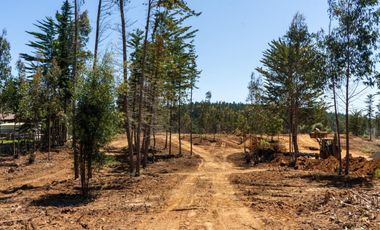 Oportunidad Venta Terrenos en Condominio