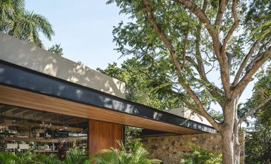 Exclusivas residencias de colección al norte de Mérida Yucatán