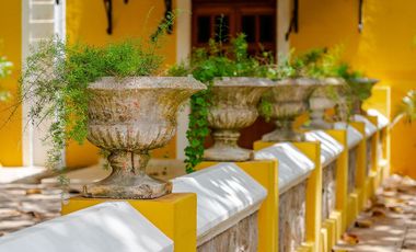 Exclusivas residencias de colección al norte de Mérida Yucatán