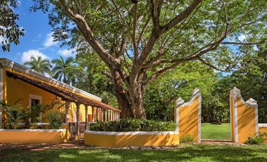 Exclusivas residencias de colección al norte de Mérida Yucatán