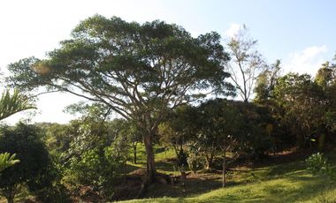 Alquiler Casa Campo en Lamas con el Mejor clima