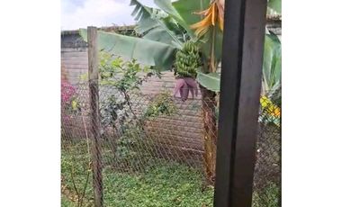 Casa en arriendo en el norte Armenia , Quindio