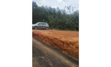 Lote En Venta En Santa Elena Antioquia