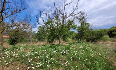 SE VENDE PARCELA DE AGRADO ESQUINA – SECTOR LOS MARDONES