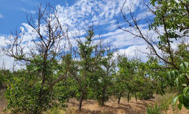 SE VENDE PARCELA DE AGRADO ESQUINA – SECTOR LOS MARDONES