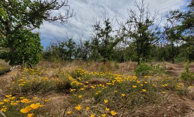 SE VENDE PARCELA DE AGRADO ESQUINA – SECTOR LOS MARDONES