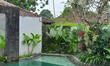 13 Bedroom Hotel for sale in Ubud, Bali