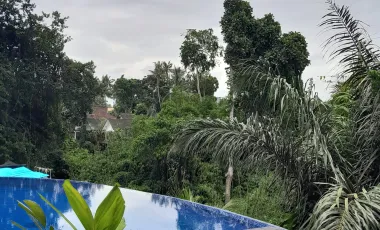 13 Bedroom Hotel for sale in Ubud, Bali