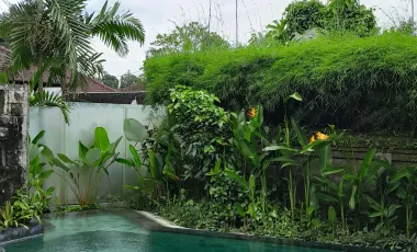 13 Bedroom Hotel for sale in Ubud, Bali