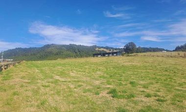 Parcela en venta en PANGUIPULLI