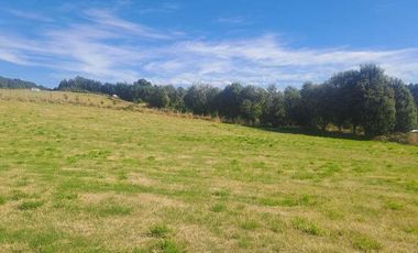 Parcela en venta en PANGUIPULLI