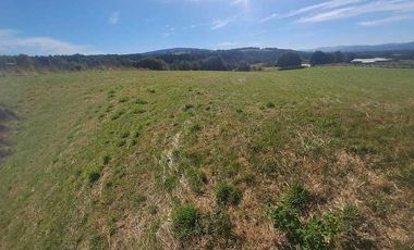 Parcela en venta en PANGUIPULLI