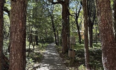 Departamento en Venta en Centro de Ski Termas de Chillan