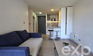 Departamento en Arriendo en Costa de Montemar