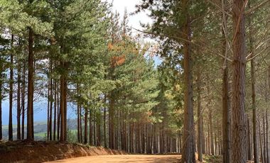 Sitio en Venta en Exclusivo condominio Quincheumo cercano a Topocalma