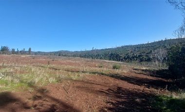 Sitio en Venta en TERRENO DE 5,2 HECTÁREAS EN VENTA – SECTOR MILLAPOA, NACIMIENTO