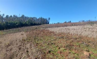 Sitio en Venta en TERRENO DE 5,2 HECTÁREAS EN VENTA – SECTOR MILLAPOA, NACIMIENTO