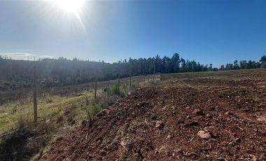 Sitio en Venta en TERRENO DE 5,2 HECTÁREAS EN VENTA – SECTOR MILLAPOA, NACIMIENTO